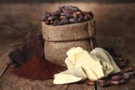 Cocoa Butter Manufacturers and Suppliers in India, Bawana