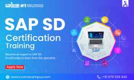 SAP Sales and Distribution Certification, Noida