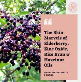  The Skin Marvels of Elderberry, San Diego