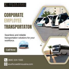 Corporate Employee Transportation, Austin