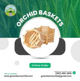 Orchid Supplies Florida: Grow and Care with Ease, ps 12