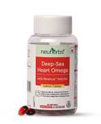 Experience Superior Omega-3 Absorption , Noida