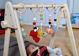 Montessori Play Gym with Safe and Educational Fun , $ 0