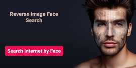 Face Check ID With Surepass Face Search API, New Delhi