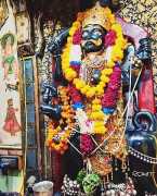 8769373431BlAcK mAgIc SpEcIaLiSt ITALY, Chandigarh