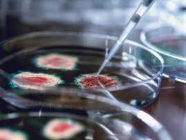 Holistic Approach to Insights in HCP Pharma, Evanston