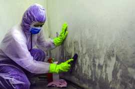 Comprehensive Water Damage Solutions with Funguy , Los Angeles