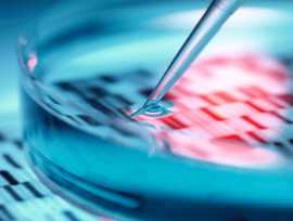 Biopharma Consulting Services for Strategic Growth, Evanston