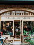Custom Storefront Signs to Elevate Your Business, Carson