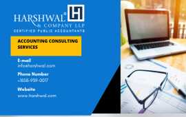 Customized Accounting Consultancy Services, San Diego