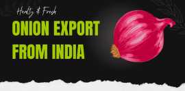 Onion Exporter From India for Quality Suppy, New Delhi