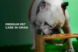 Jebel K9 – Premium Pet Care in Oman, Muscat