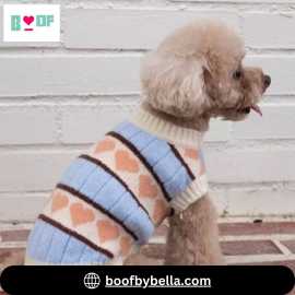 Buy Dog Sweaters and Winter Dog Clothes Online, New Delhi