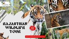 Rajasthan Wildlife Tour: A Family Adventure, Acra