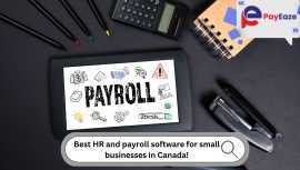 HR and Payroll Software Guide for Small Businesses, Mississauga
