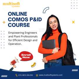 COMOS Training P&ID (COM-PID) Training Online, Noida
