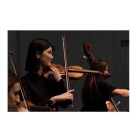 Learn to Play the Violin, Fallbrook