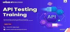 Karate API Automation Framework, Noida
