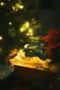 The Magic of Christmas: Season of Joy, Togethernes, Amravati