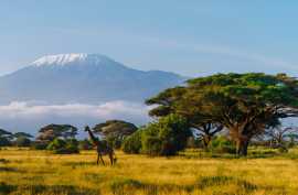 Kenya Holiday Packages, Dubai