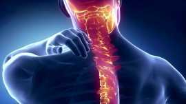 Preventing Spine Problems Naturally with Homeopath, Delhi
