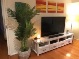 Shop Artificial Plants Online for Greater Convenie, Braeside