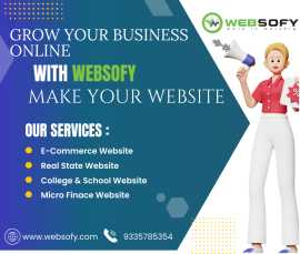 Best Web Development Agency-Websofy Software, Lucknow