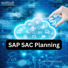 SAP SAC Planning Training Course Online, Noida