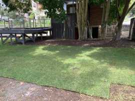 Garden Maintenance Services Curl Curl, Forestville