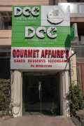 Pet Vet in Greater Kailash – DCC Animal Hospital, Delhi