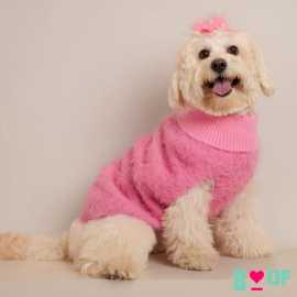 Shop Stylish Dog Sweaters and Dog Jackets Online, New Delhi