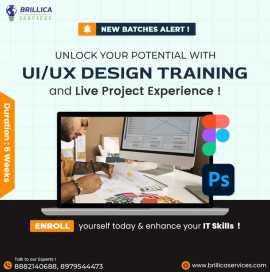 UI UX Course in Dehradun, Dehradun