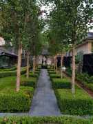 Landscaping Sydenham, Chatswood