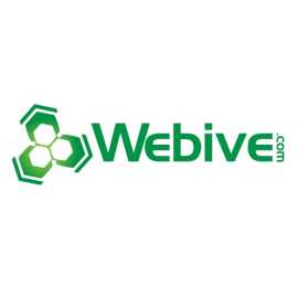 Webive Digital Marketing, Cleveland