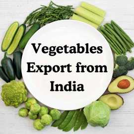 Export the Best Vegetables From India , New Delhi