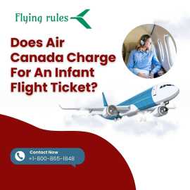 Does Air Canada Charge For An Infant Flight Ticket, Worcester