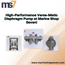High-Performance Versa-Matic Diaphragm Pump at Mar, Bhavnagar