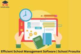 structured School Management Software, Lucknow
