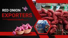Trusted Red Onion Exporter for Quality & Fresh, New Delhi