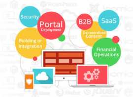 Enterprise Portal Development: Empower Your Busine, New York