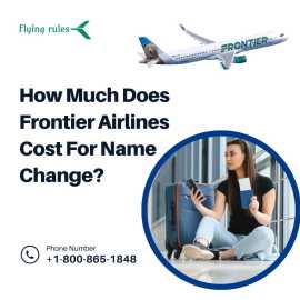 How Much Does Frontier Airlines Cost For Name Chan, New York