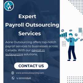  Efficient Payroll Outsourcing Services by Aone Ou, 100 Mile House
