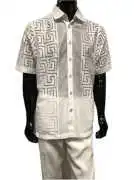 Mens Linen Suits for Sale Ideal for Travels, ps 150