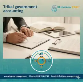 Professional Tribal Government Accounting & Au, California City