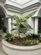 Silicon Valley Endodontics and Microsurgery, Sunnyvale