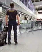 Top Security Guard Companies in London for Busines, London