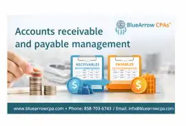 Professional Accounts Receivable and Payable Manag, San Diego