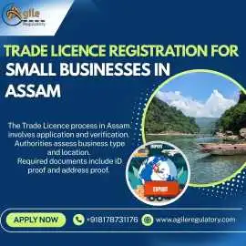 Trade Licence Registration for Small Businesses in, Noida