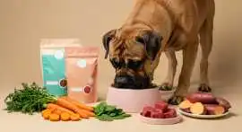 Veterinary Nutrition & Animal Health Solutions, Noida