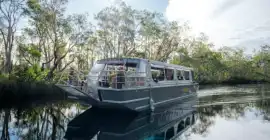 Noosa Everglades Serenity Tour – Nature’s Quiet Ma, Noosa